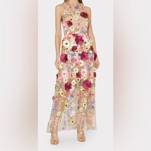 Dreshe Floral Tulle Embroidered Dress